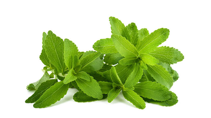 steviasweet-was ist stevia